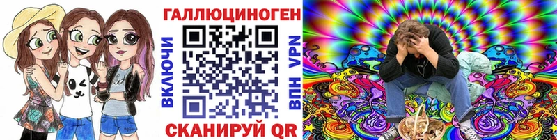 OMG как войти  Сосновый Бор  Псилоцибиновые грибы ЛСД 
